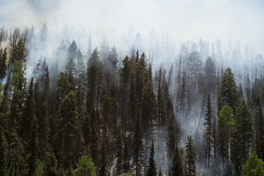 Smoke rises between the trees as a wildfire burns along State Route 143, Sunday, June 18, 2017, the primary road to the southern Utah ski town of Brian Head, Utah. Firefighters were hoping to have a blaze near a southwestern Utah ski town 10 percent contained by Sunday. Some 750 residents and visitors have been evacuated. No injuries have been reported.Leah Hogsten /The Salt Lake Tribune via AP)