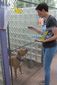 animal_welfare_agency_150_years_55005.jpg