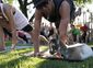 exchange_goat_yoga_26332.jpg