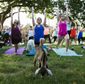 exchange_goat_yoga_62585.jpg