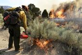 southern_california_wildfire_63370.jpg