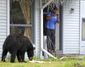 anchorage_neighborhood_bear_44095.jpg