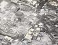 iraq_mosul_92862.jpg