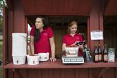 aptopix_the_disappearing_summer_job_76570.jpg