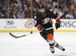 ducks_eaves_hockey_42571.jpg