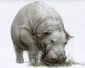 film_okja_72981.jpg