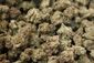 New_Jersey_Governors_Race_Marijuana_11655.jpg-db7bd.jpg