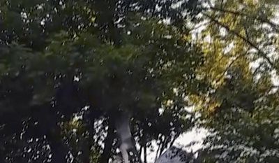 In this June 24, 2017, image made from a video provided by Leeann Winchell, a 14-year-old girl falls from an amusement park ride at Six Flags Great Escape Amusement Park in Queensbury, N.Y. After she lost her grip on the slow-moving gondola ride Saturday she fell into a crowd of park guests and employees gathered under the ride to catch her before she hit the ground. The teen, from Greenwood, Delaware, was taken to Albany Medical Center in stable condition with no serious injuries, the Warren County Sheriff&#39;s Office said. (Leeann Winchell via AP)