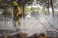 aptopix_spain_forest_fire_13800.jpg