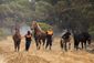 spain_forest_fire_96483.jpg