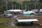 colombia_disarmament_54989.jpg