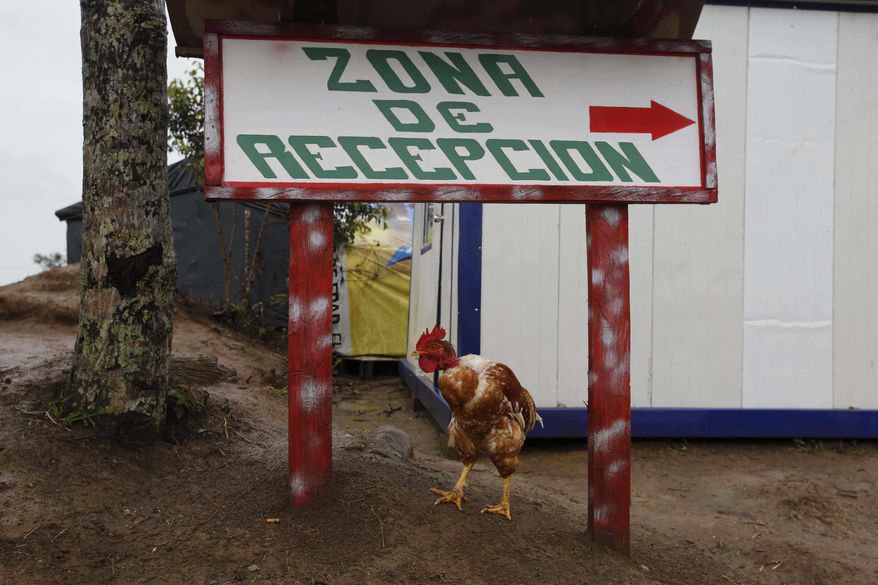 A rooster stands under a sign that reads in Spanish; &amp;quot;Reception area&amp;quot; at entrance of the Mariana Paez demobilization zone, one of many rural camps where the Revolutionary Armed Forces of Colombia, FARC, are making their transition to civilian life, in Buenavista, in the municipality of Mesetas, Colombia, Monday, June 26, 2017. On Tuesday, Colombia&#39;s President Juan Manuel Santos and the FARC’s top commander Timochenko will meet here to commemorate the completion of the disarmament process. (AP Photo/Fernando Vergara)
