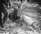 alaska_highway_black_soldiers_93886.jpg