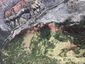 western_wildfires_49944.jpg