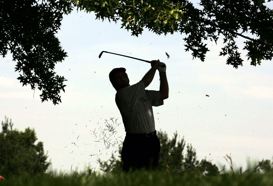 (AP File Photo/Chris Gardner)