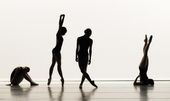 public_school_for_dance_76986.jpg