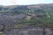 western_wildfires_77160.jpg