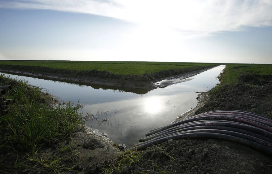 FILE - In this Feb. 25, 2016, file photo, water flows through an irrigation canal to crops near Lemoore, Calif. Environmental and fishing groups have filed challenges Thursday, June 29, 2017, seeking to block California Gov. Jerry Brown's ambitious plan to build a pair of massive water tunnels in California. (AP Photo/Rich Pedroncelli, File)