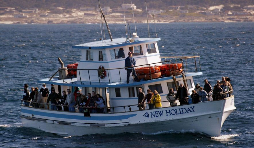 FILE -- In this Feb 9, 2002, file photo tourists watch for whales from a boat in Monterey Bay off Pebble Beach, Calif. Whale watching is a growing tourist business in many parts of the world, and delegates to an international whale conference in Sout Africa say guidlines to protect the animals are increasingly needed. (AP Photo/Mike Fiala, File)
