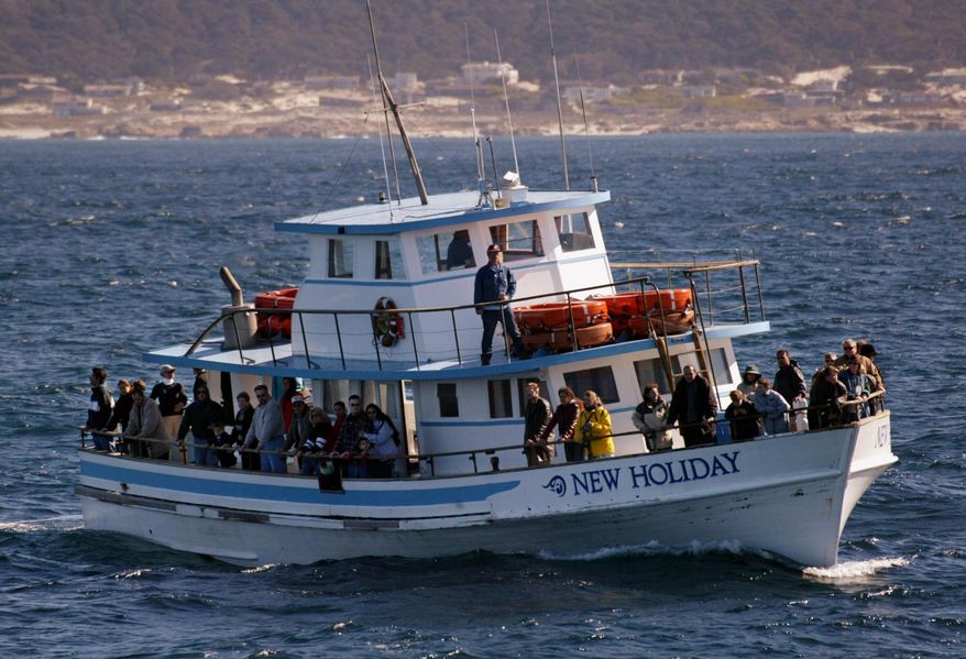FILE -- In this Feb 9, 2002, file photo tourists watch for whales from a boat in Monterey Bay off Pebble Beach, Calif. Whale watching is a growing tourist business in many parts of the world, and delegates to an international whale conference in Sout Africa say guidlines to protect the animals are increasingly needed. (AP Photo/Mike Fiala, File)