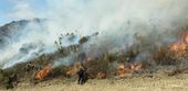 western_wildfires_75515.jpg