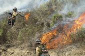 western_wildfires_94826.jpg