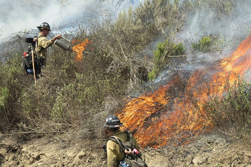 Firefighters set back fires as they work to put out a brushfire in San Clemente, Calif., Thursday, June 29, 2017. Firefighters on Thursday were also battling wildfires in New Mexico, Utah, Washington state, as well as California. (Ken Steinhardt/The Orange County Register via AP)