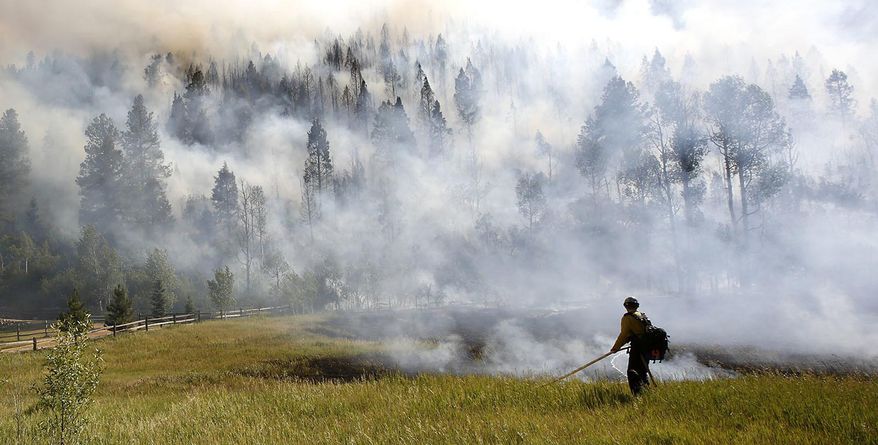In this Wednesday, June 28, 2017 photo, firefighters work to control a wildfire along Lightner Creek Road west of Durango, Colo. Colorado Gov. John Hickenlooper has declared a disaster emergency to add resources for crews battling a wildfire in the southwest part of the state. (Jerry McBride/The Durango Herald via AP)