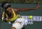 wimbledon_womens_capsules_tennis_59720.jpg