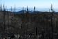 western_wildfires_utah_43844.jpg