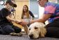 ne'exchange-facility_dog_62831.jpg