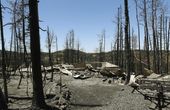 western_wildfires_44143.jpg