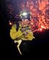 western_wildfires_baby_deers_saved_43796.jpg
