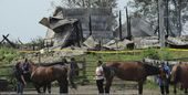 horses_killed-barn_fire_73853.jpg