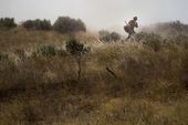 western_wildfires_10407.jpg
