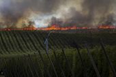 western_wildfires_66932.jpg
