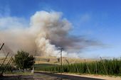 western_wildfires_97796.jpg