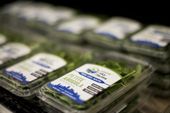 exchange_kale_farming_robots_25009.jpg
