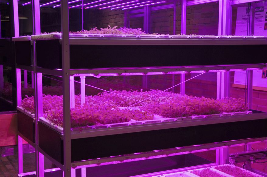 ADVANCE FOR RELEASE SATURDAY, JULY 8, 2017, AT 3:01 A.M. EDT. AND THEREAFTER - In this undated photo, RoBotany's plants grow under special LED lights in Pittsburgh. The robotic, vertical farming company is building a large farm inside a former steel mill on the South Side. (Andrew Russell/Pittsburgh Tribune-Review via AP)