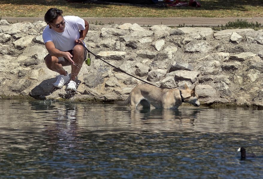 Josh Principe cools off his dog Kira on the edge of Echo Park lake in Los Angeles on Saturday, July 8, 2017. An excessive heat wave in Southern California set records in several cities, breaking a mark set for the date in Los Angeles 131 years ago, the National Weather Service said. Around noon, the downtown temp spiked at 96 degrees, topping the 1886 record by a degree. (AP Photo/Damian Dovarganes)