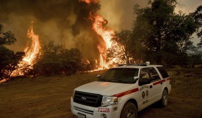 Flames from a wildfire engulf trees near Oroville, Calif., on Saturday, July 8, 2017. The fire south of Oroville was one of more than a dozen burning in the state as firefighters worked in scorching temperatures to control unruly flames.  (AP Photo/Noah Berger)