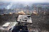 california_wildfires_50968.jpg