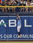 red_sox_rays_baseball_32903.jpg