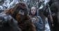 film_review_-_war_for_the_planet_of_the_apes_15722.jpg