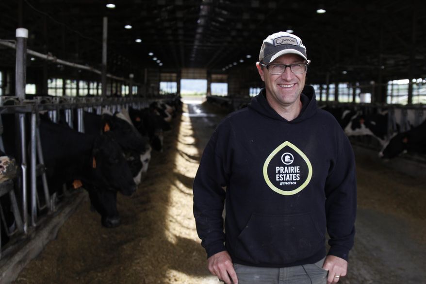 In this photo taken June 29, 2017, Mitch Breunig stands among his 400 cows at Mystic Valley Dairy in Sauk City, Wis. The farm's owner Breunig has spent over $100,000 to improve his farm to make his cows happier, including making his barn and stalls bigger and adding fans and other air circulation equipment. (AP Photo/Carrie Antlfinger)