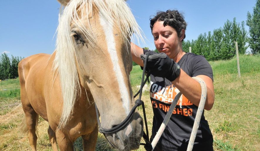 In this Monday, July 9, 2017 photo, Meredith Cherry puts a halter on her horse, Apollo, near Burley, Idaho. Cherry is on a journey to reach all 48 contiguous states to raise awareness about domestic violence. (Laurie Welch/The Times-News via AP)