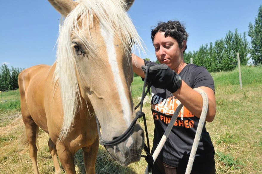 In this Monday, July 9, 2017 photo, Meredith Cherry puts a halter on her horse, Apollo, near Burley, Idaho. Cherry is on a journey to reach all 48 contiguous states to raise awareness about domestic violence. (Laurie Welch/The Times-News via AP)