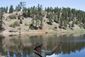forest_health_project_46960.jpg