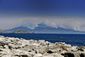 italy_wild_fires_13424.jpg