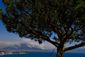italy_wild_fires_91221.jpg